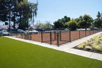 Dog park